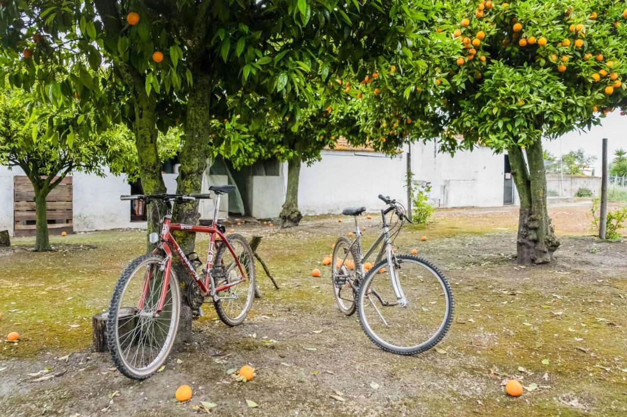 Eighteen21 Houses - Casa Dos Condes Cano エクステリア 写真