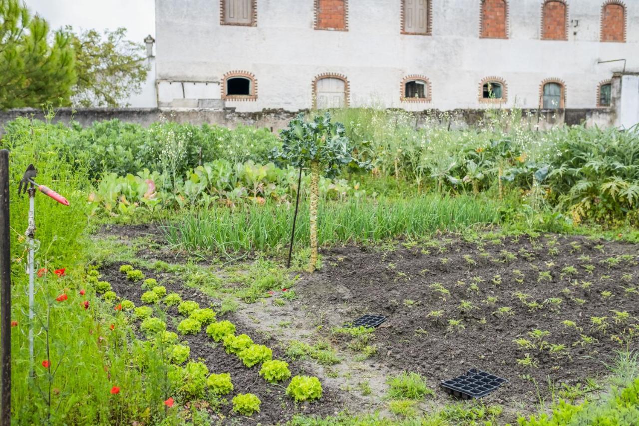 Eighteen21 Houses - Casa Dos Condes Cano エクステリア 写真