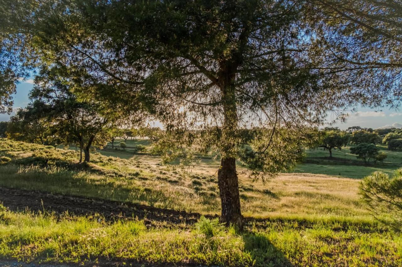 Eighteen21 Houses - Casa Dos Condes Cano エクステリア 写真