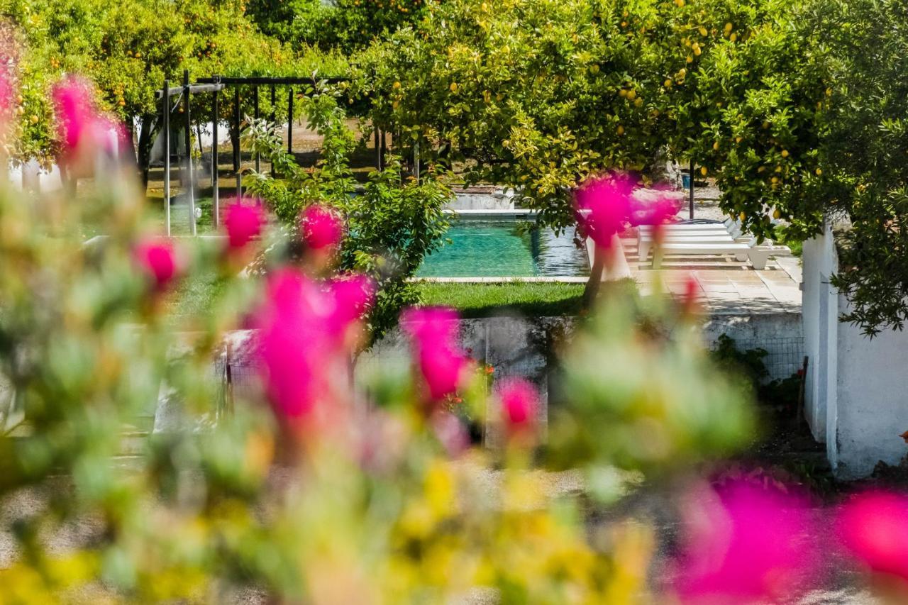 Eighteen21 Houses - Casa Dos Condes Cano エクステリア 写真