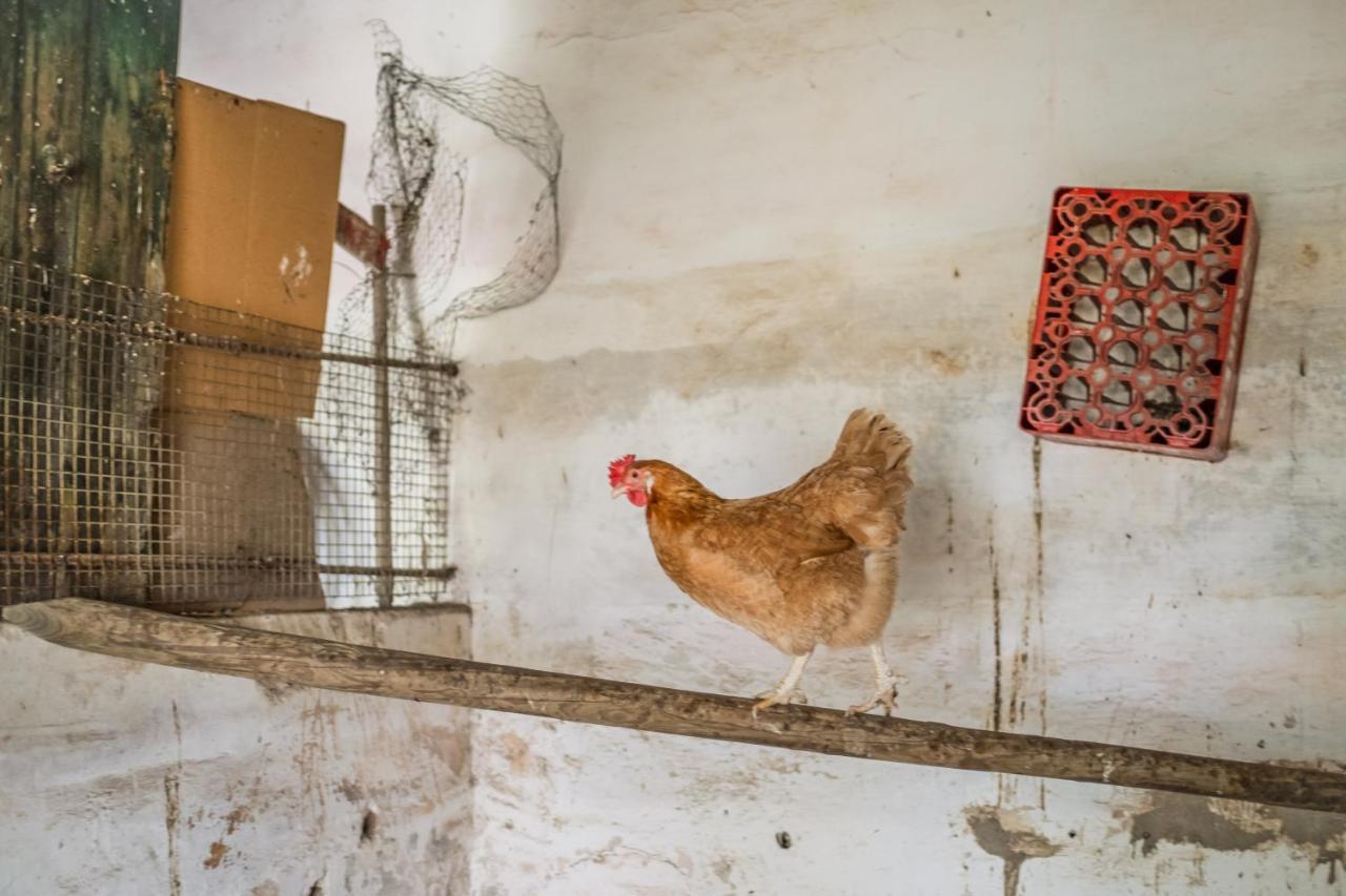 Eighteen21 Houses - Casa Dos Condes Cano エクステリア 写真